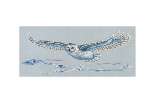 (image for) Polar Owl